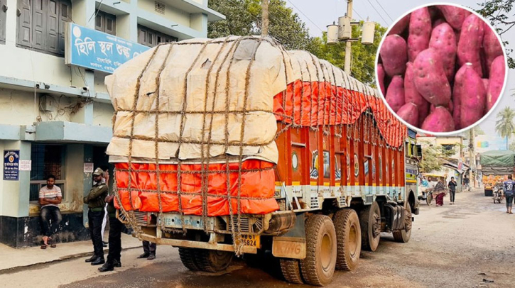 হিলি দিয়ে প্রথমবার ভারত থেকে মিষ্টিআলু আমদানি হিলি দিয়ে প্রথমবার ভারত থেকে মিষ্টিআলু আমদানি